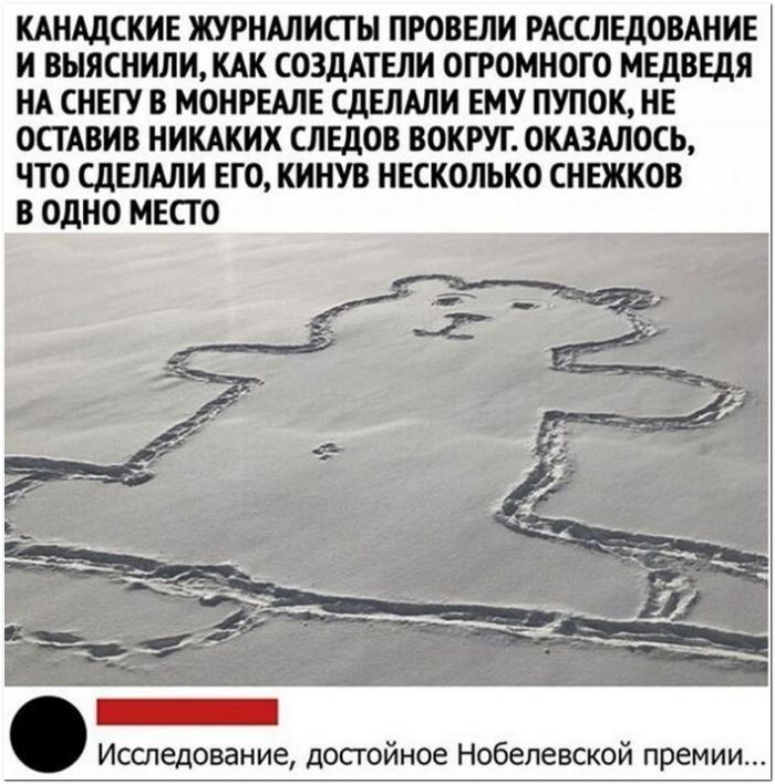фото прикол