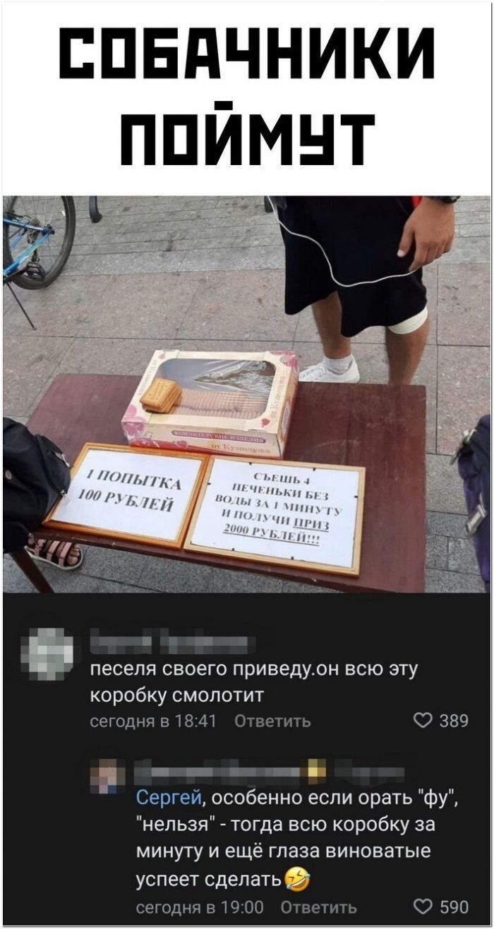 фото прикол