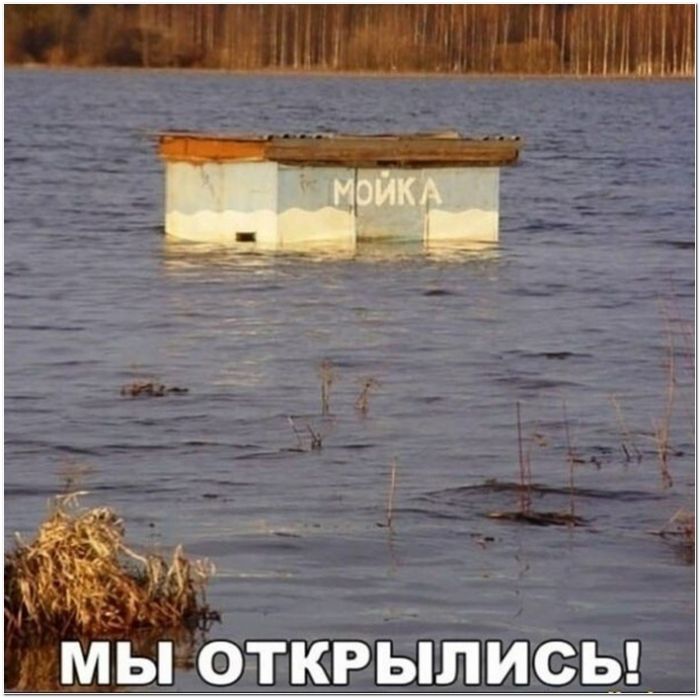 фото прикол