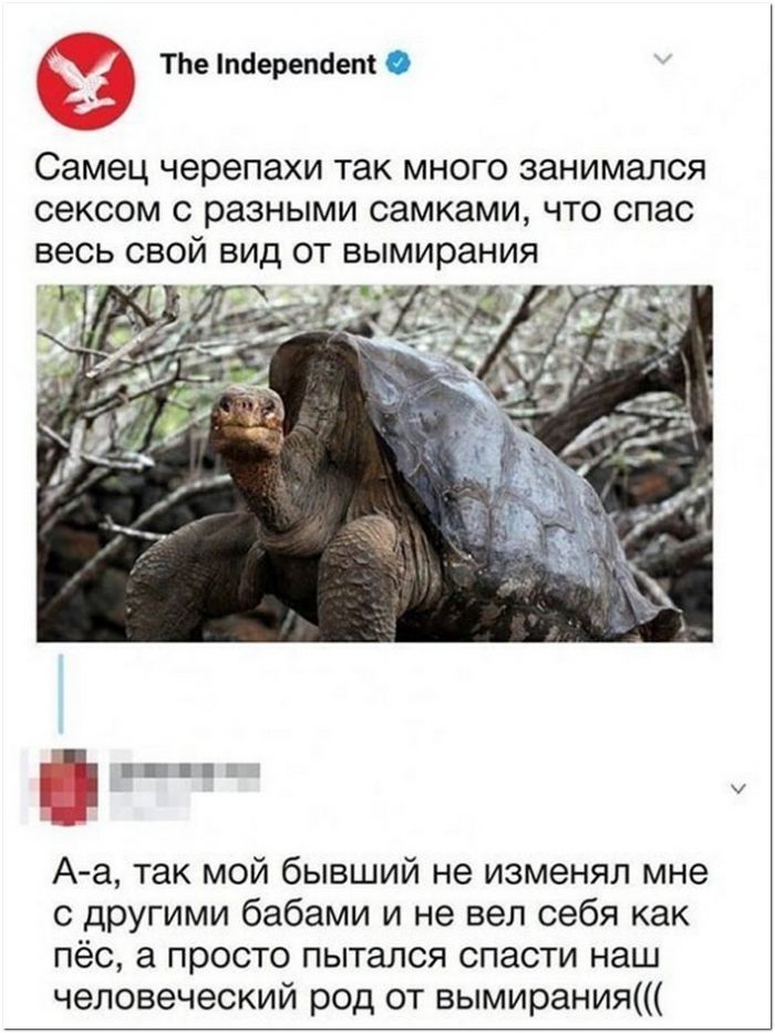 прикол на картинке