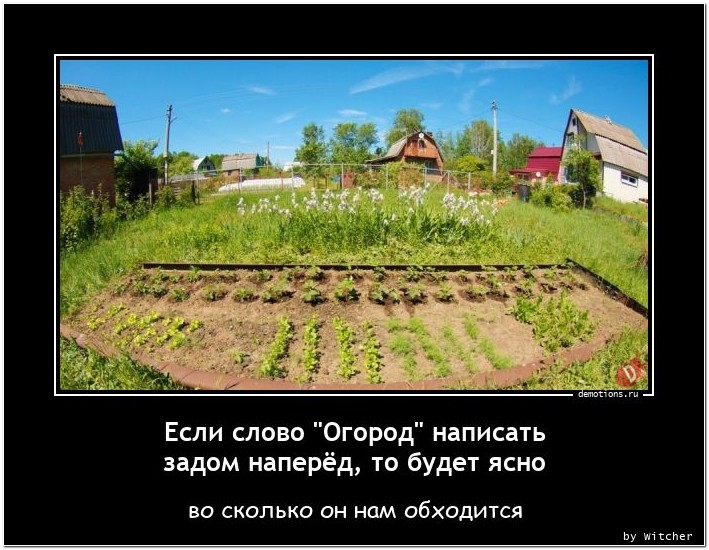 Хорошо иметь домик в деревне приколы картинки