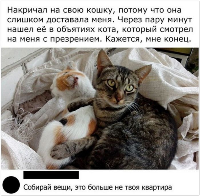 фото прикол