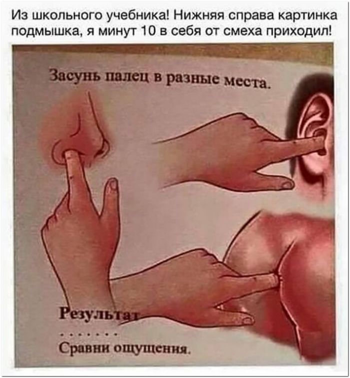 фото прикол