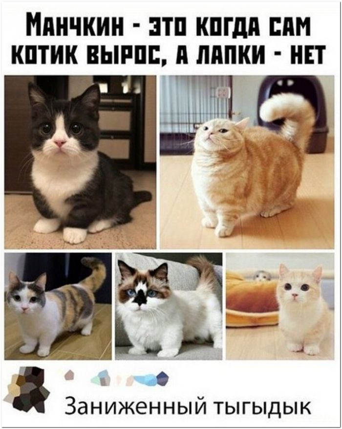 фото прикол