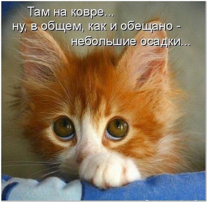 фото прикол