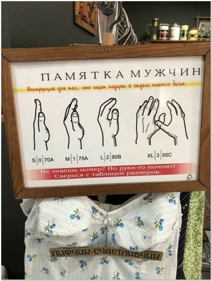 фото прикол
