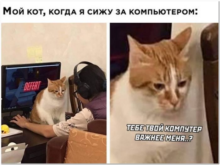 фото прикол