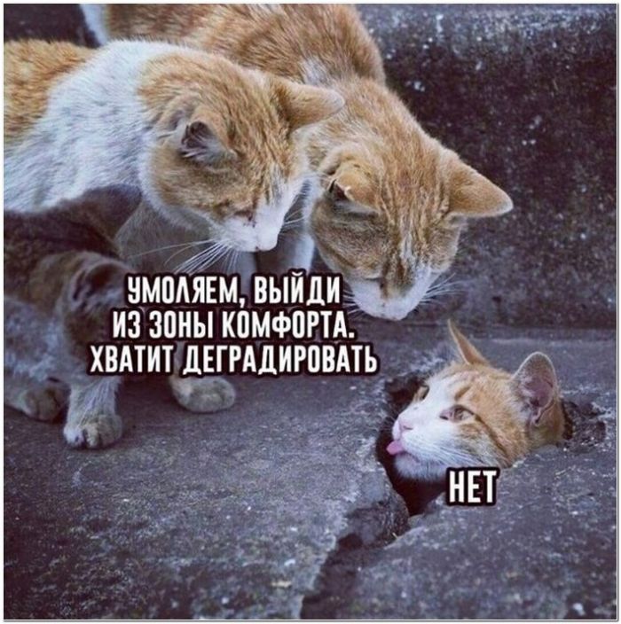 фото прикол