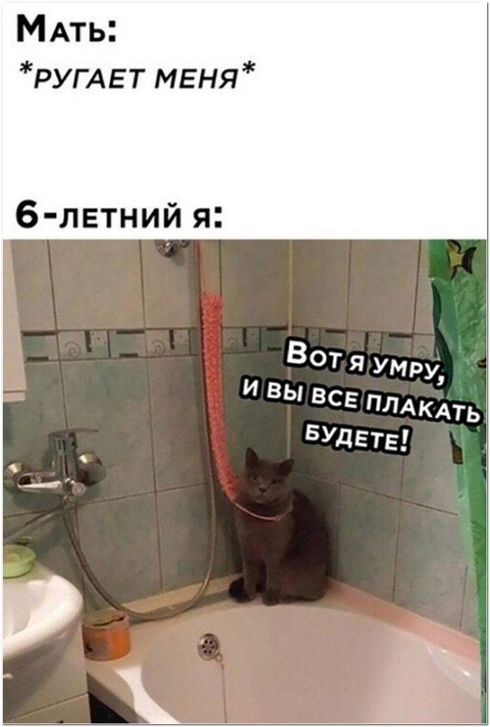 фото прикол