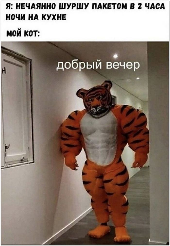 фото прикол