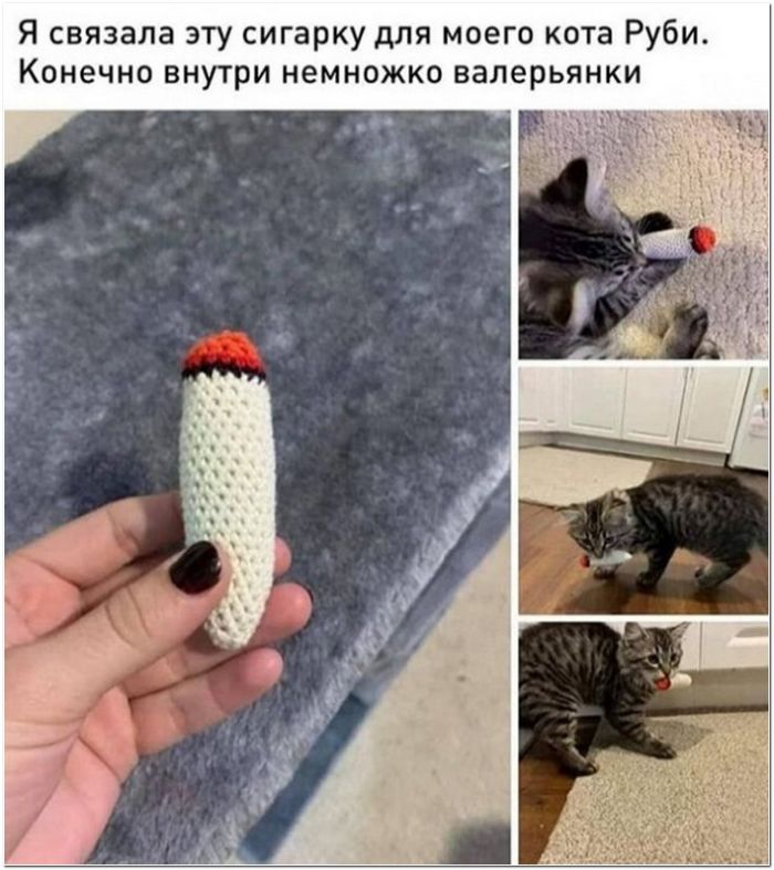 фото прикол