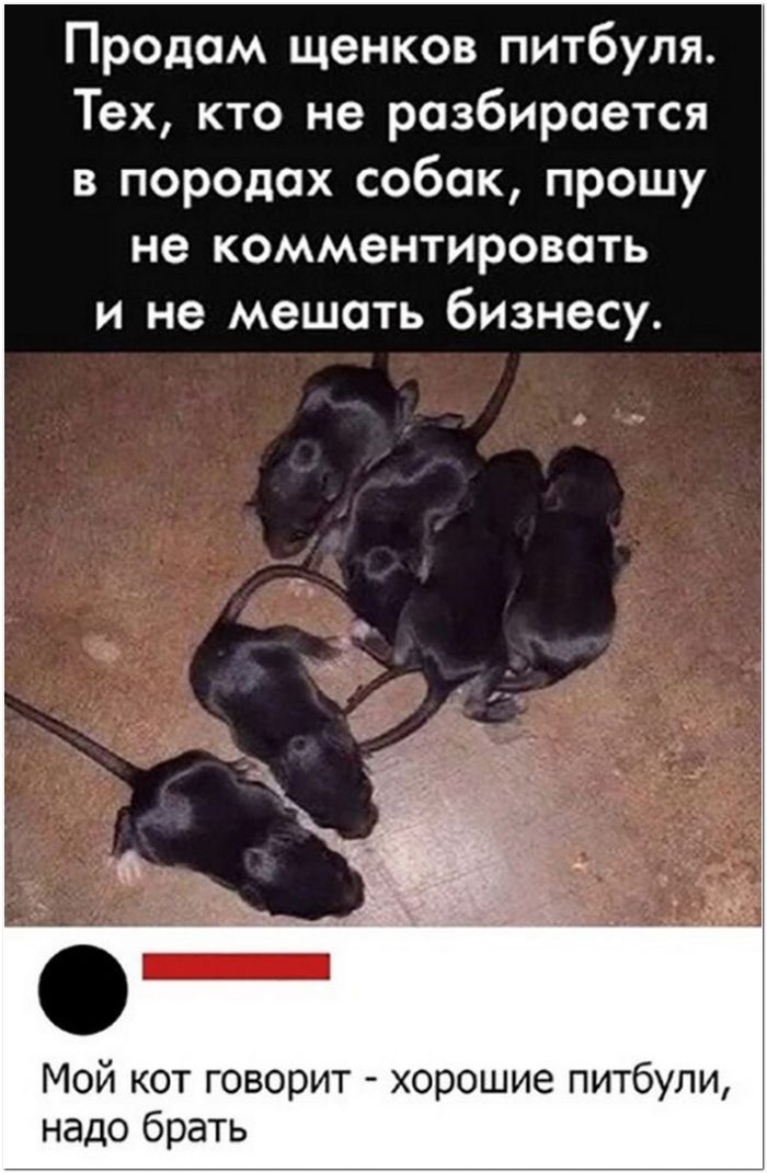 фото прикол