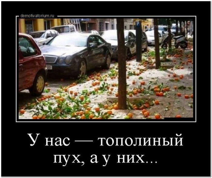 демотиватор прикольный