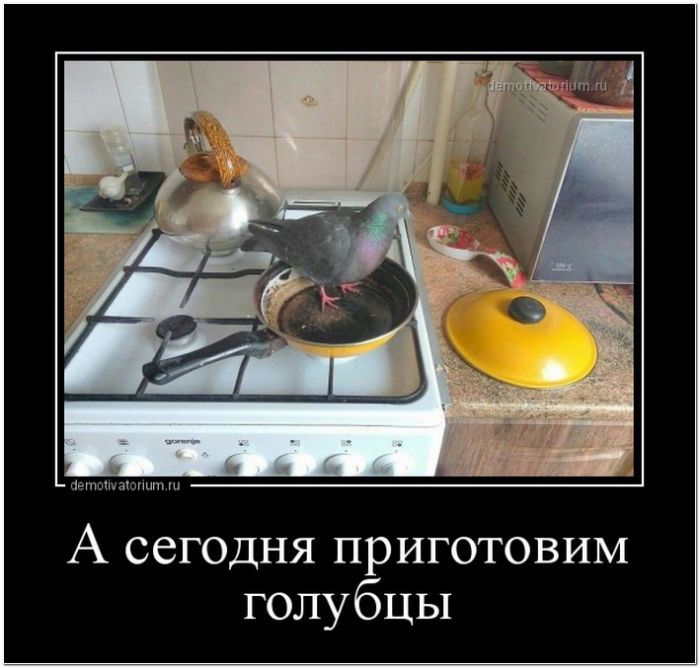 демотиватор прикольный