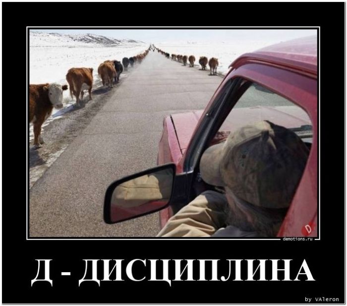 демотиватор прикольный