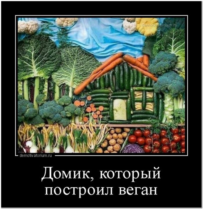демотиватор прикольный