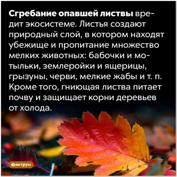 Интересные и удивительные факты обо всем (очередная подборка)