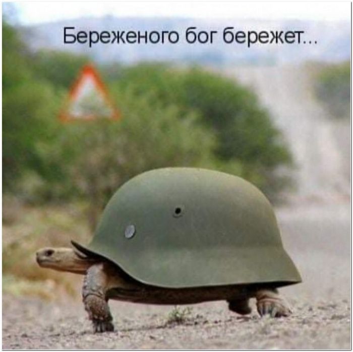 фото юмор прикол