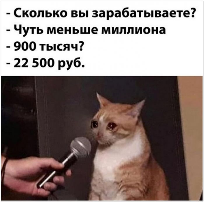 фото юмор прикол