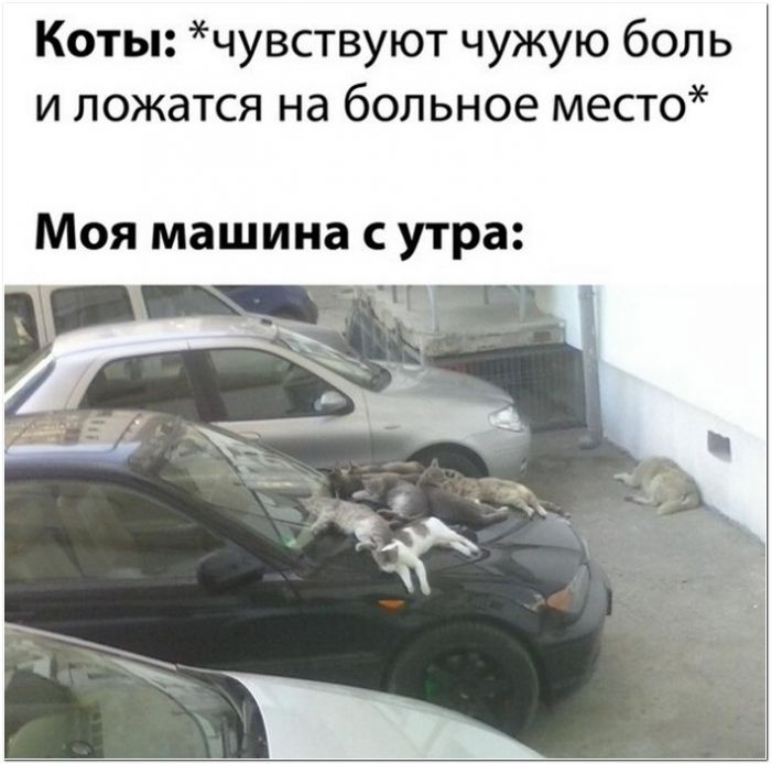 фото юмор прикол