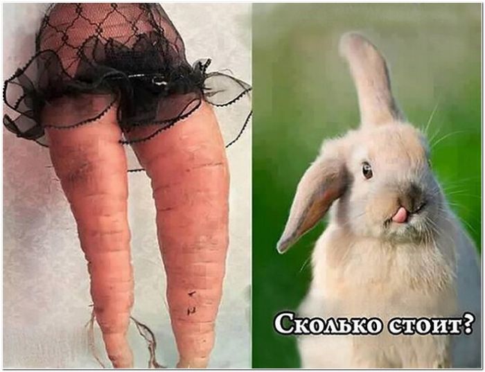 фото юмор прикол