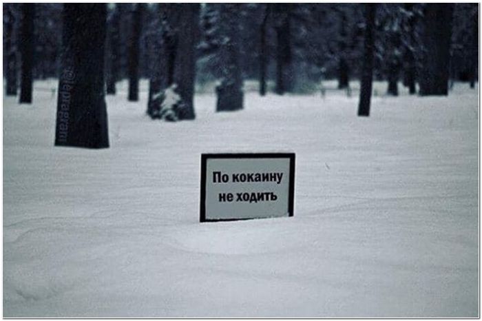 фото с приколом