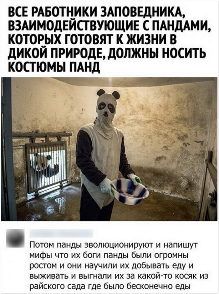 фото с приколом