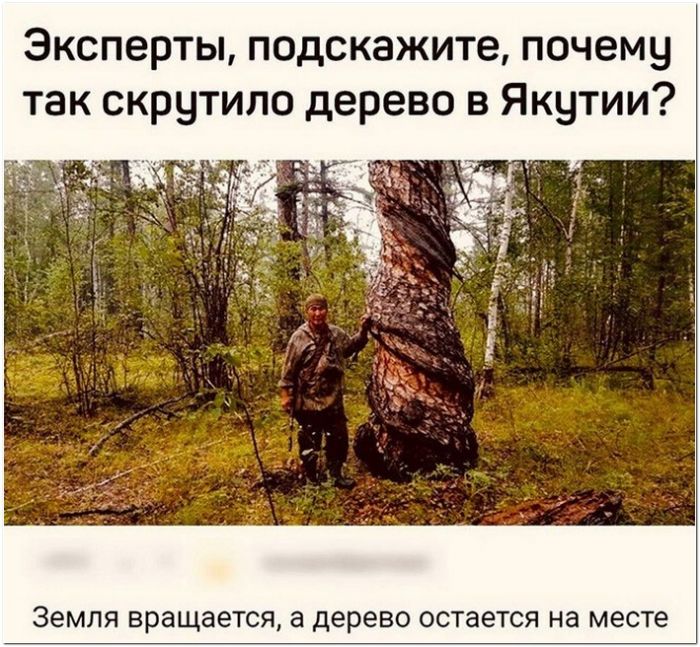 фото с приколом