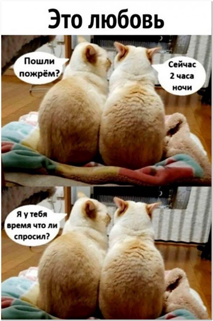 фото с приколом