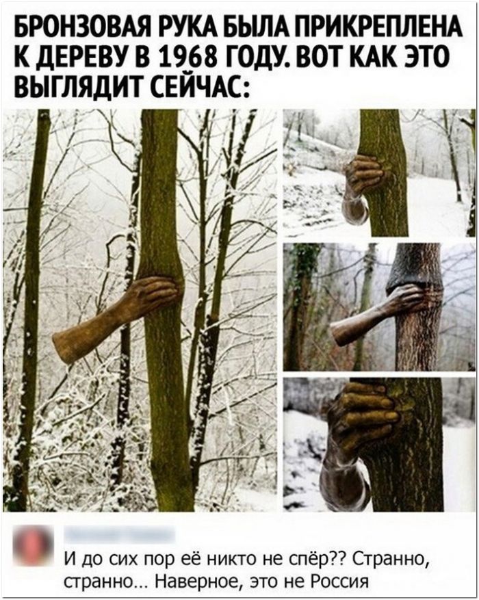 фото с приколом