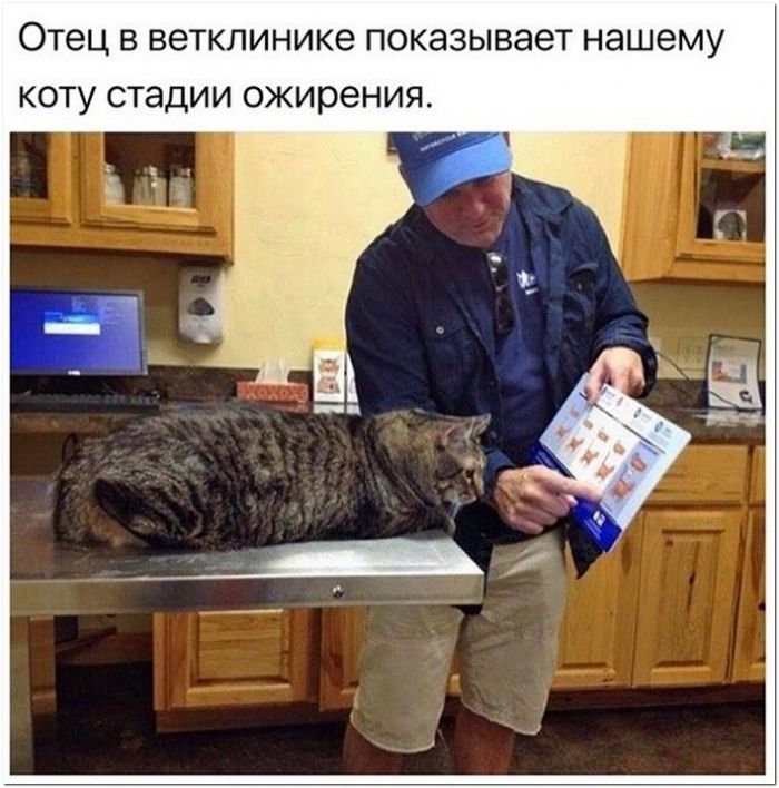 фото с приколом