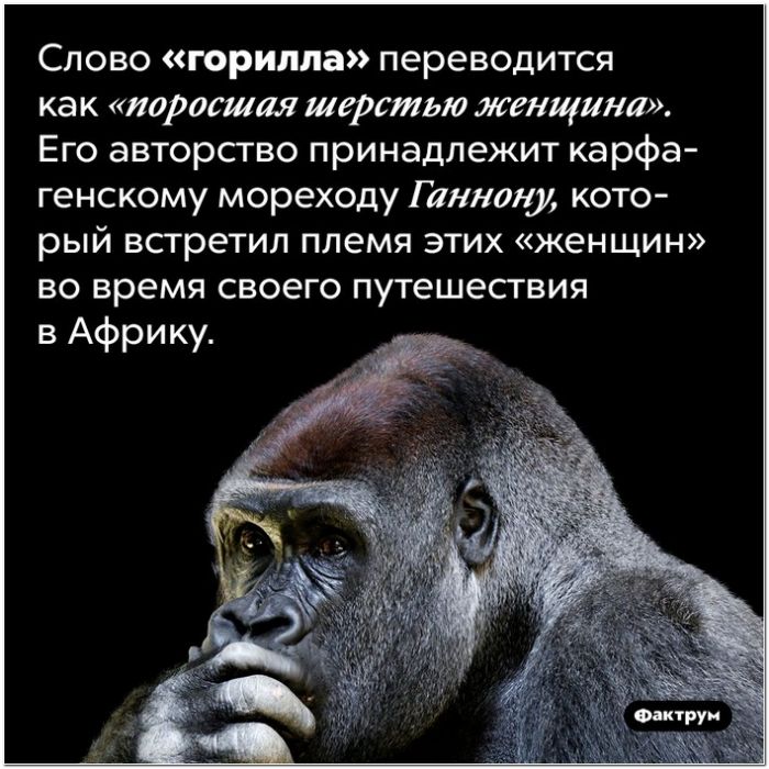 Занимательные факты