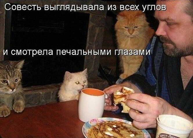 Подборка фотоприколов № 1069
