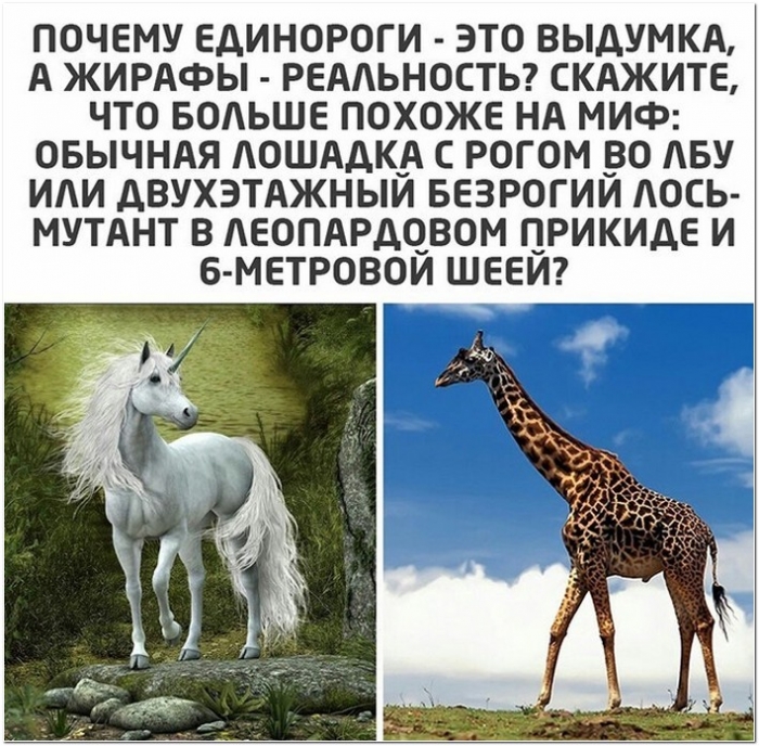 прикольная картинка