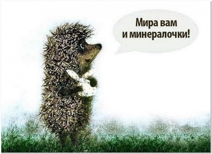 прикольная картинка