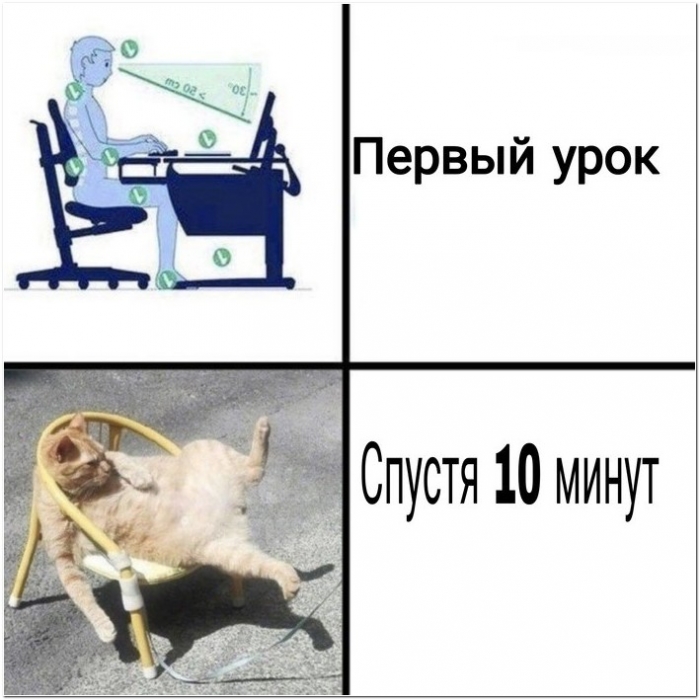 прикольная картинка