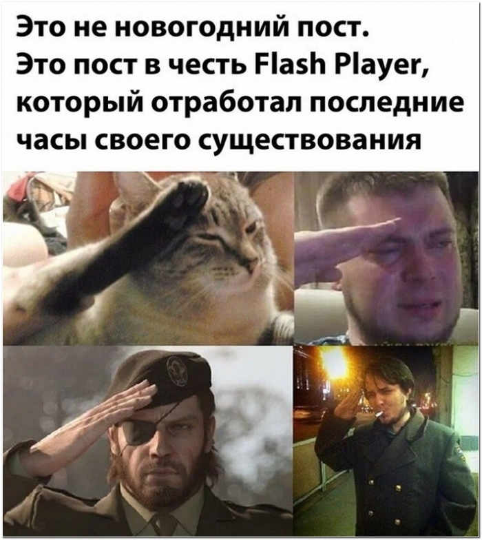 прикольная картинка