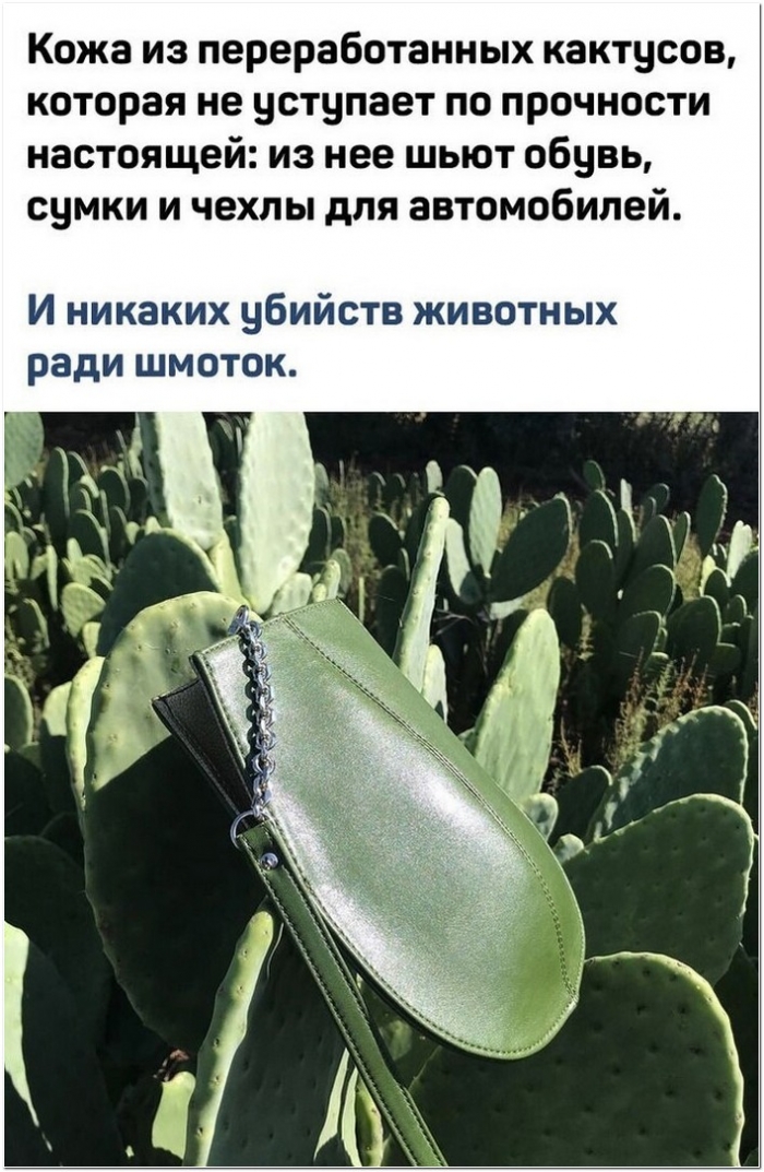 прикольная картинка