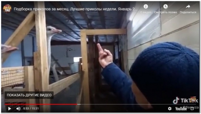 Подборка приколов за месяц. Лучшие приколы недели. Январь 2021.#13
