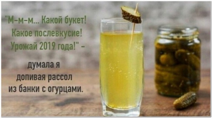 юмор алкоголь