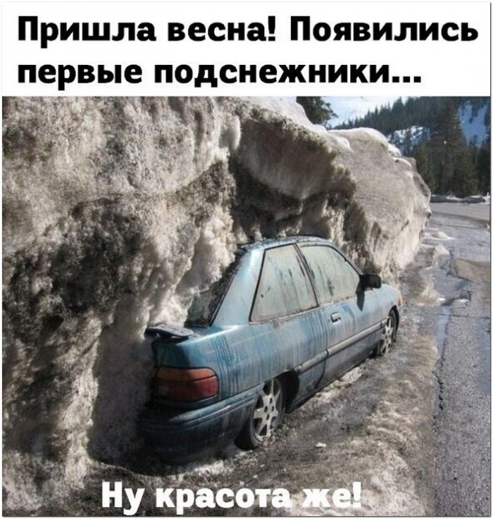забавное фото