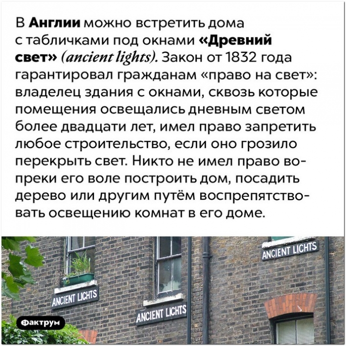 Интересные и удивительные факты обо всем (очередная подборка)