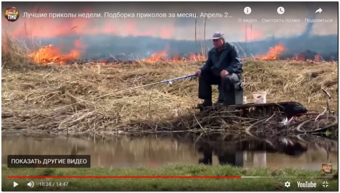 Лучшие приколы недели. Подборка приколов за месяц. Апрель 2021. #28.