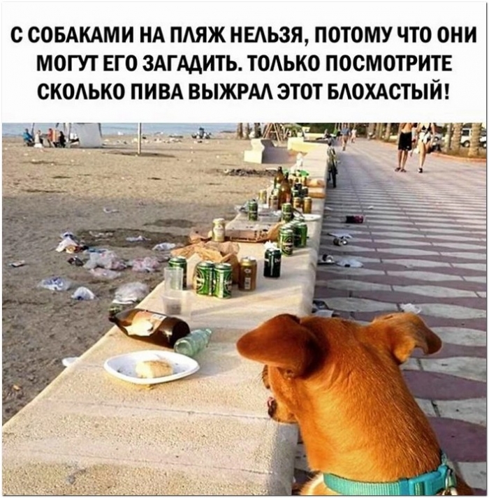 смешное фото