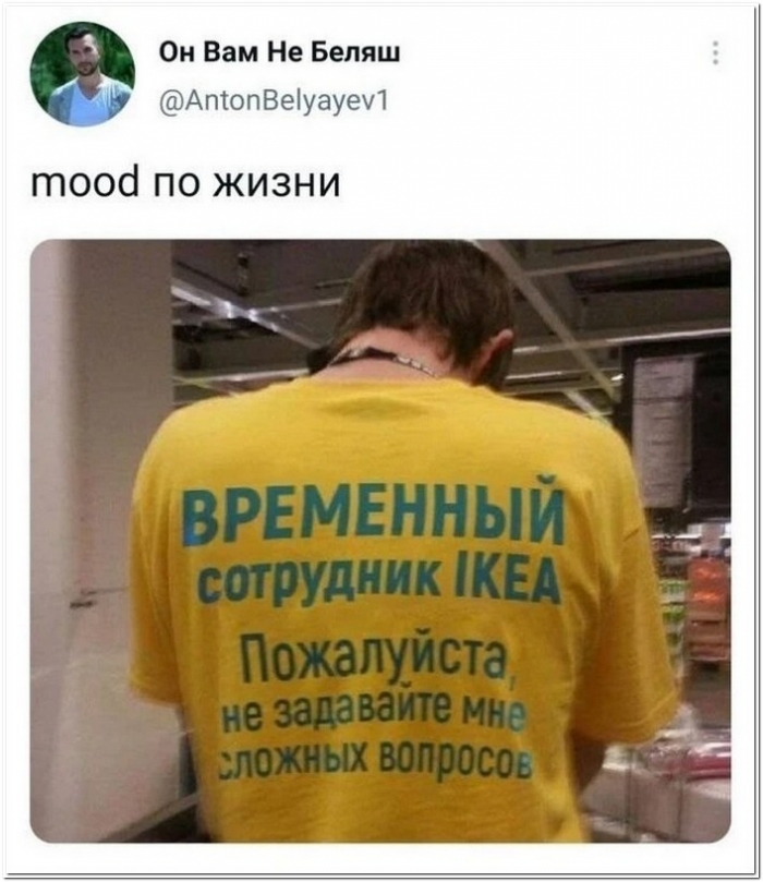 смешное фото