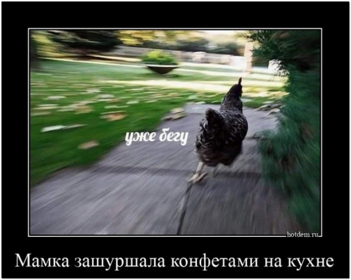 демотиватор