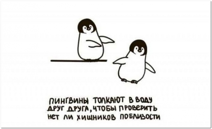 прикольная картинка