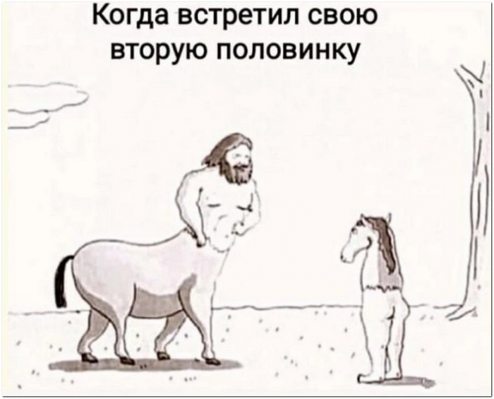 прикольная картинка
