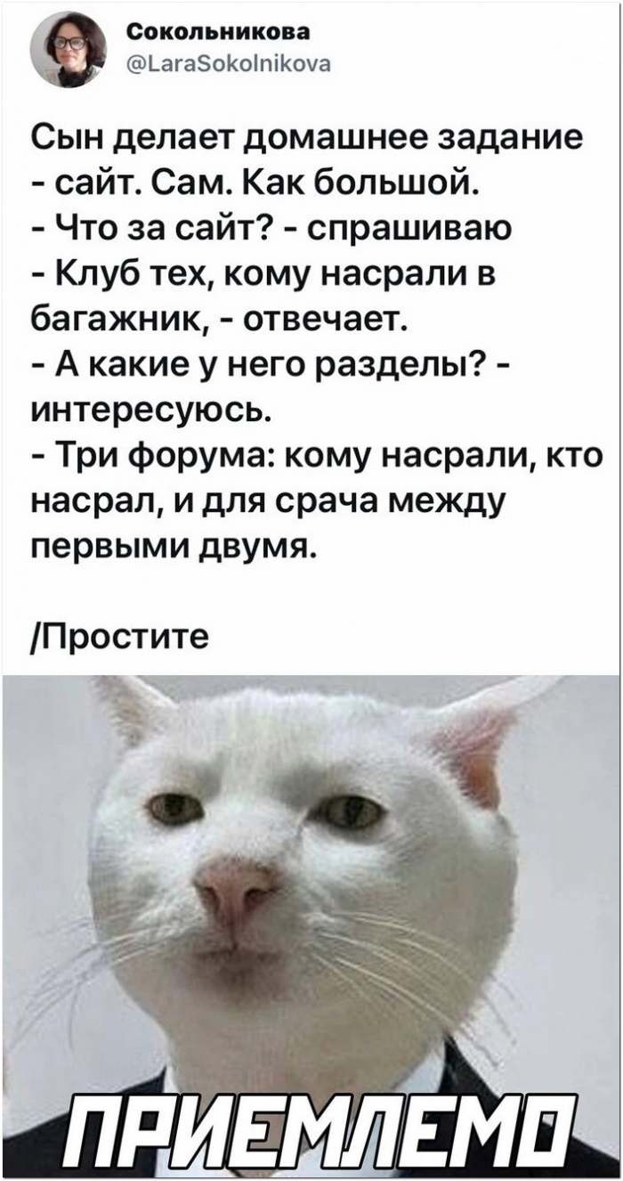 прикольная картинка