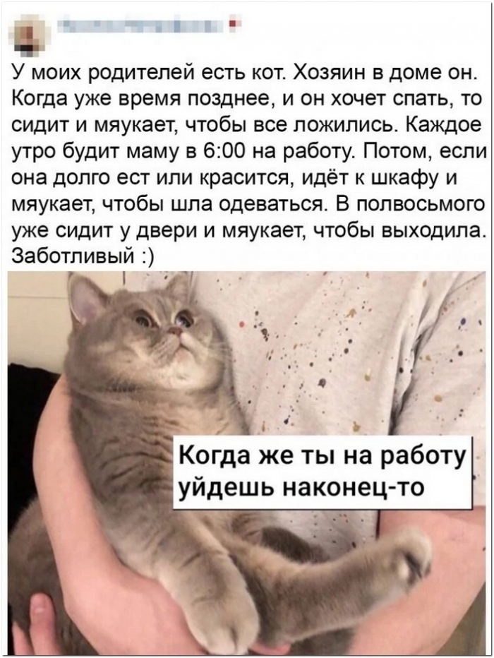фото прикольное
